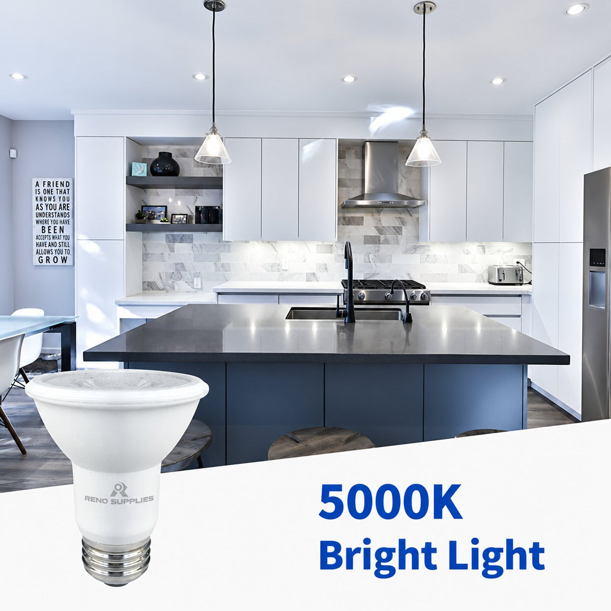 RS PAR 20 LED Bulbs, Pack of 6, Dimmable, 7W, 500LM, LED Flood Lights, (50W Halogen Bulb Equivalent) LED Spotlight Bulbs, Recessed Lighting, E26 Screw Base, UL Listed (Pack of 6) - Reno Supplies