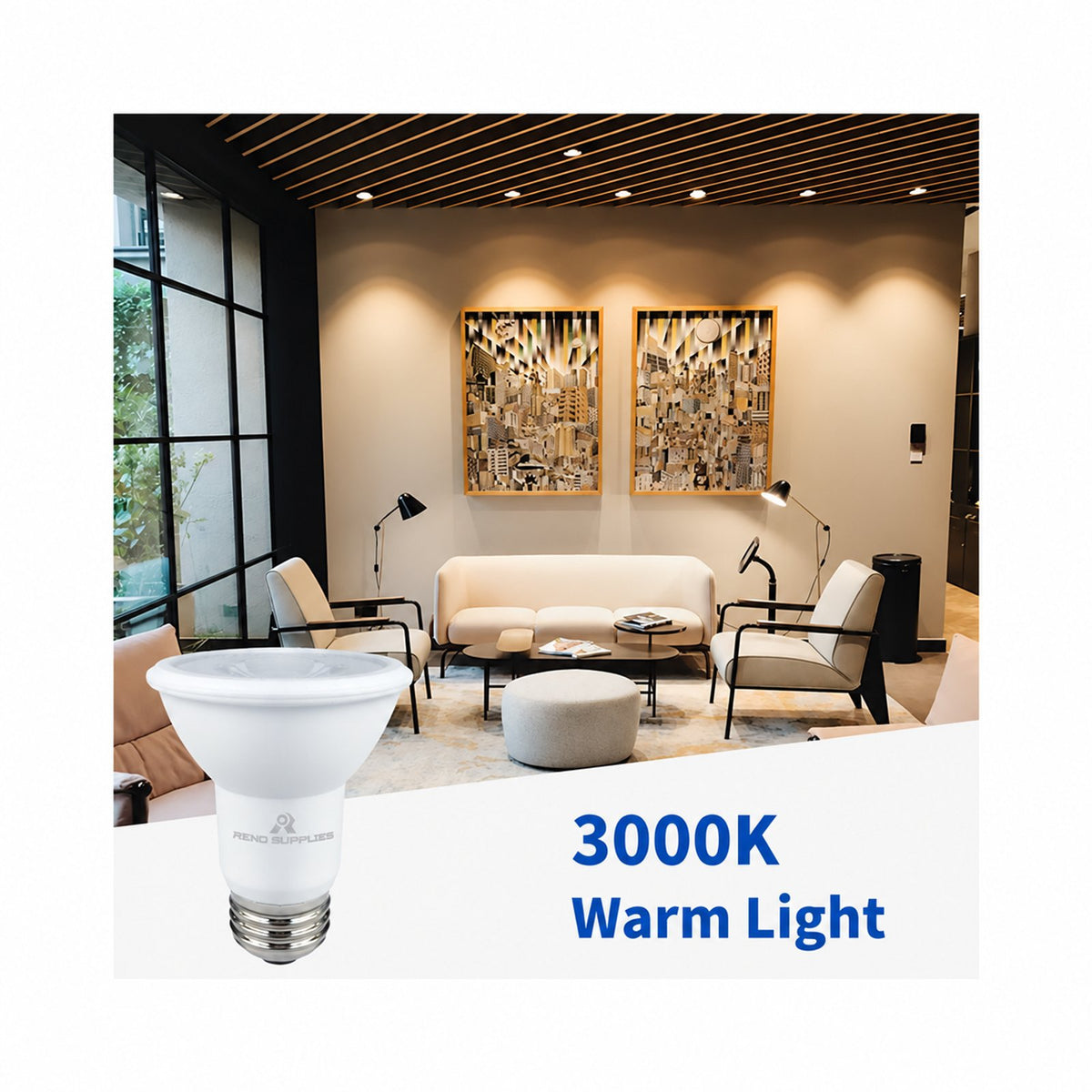 RS PAR 20 LED Bulbs, Pack of 6, Dimmable, 7W, 500LM, LED Flood Lights, (50W Halogen Bulb Equivalent) LED Spotlight Bulbs, Recessed Lighting, E26 Screw Base, UL Listed (Pack of 6) - Reno Supplies