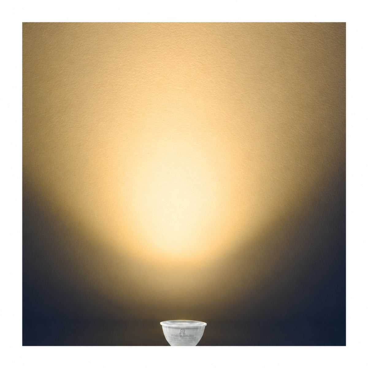 RS PAR20 LED Bulbs, Dimmable, 7W, 500LM, LED Flood Lights(50W Halogen Bulb Equivalent), LED Spotlight Bulbs, E26 Screw Base, UL Listed (Pack of 6)