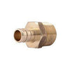 1/2'' PEX * 3/4'' MALE ADAPTER